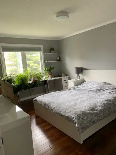 Morgan’s Grant: Room for rent