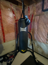 Everlast Punching Bag With Stand and Gloves