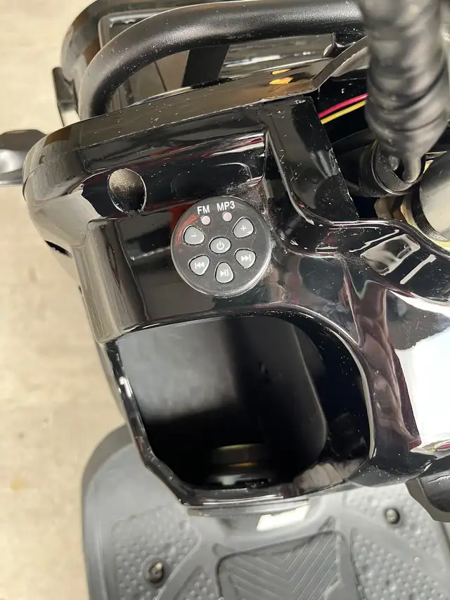 Emmo Monster in eBike in Hamilton - Image 3