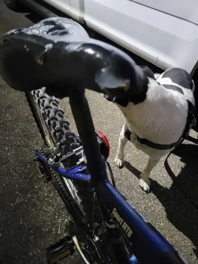 Supercycle Mountain Bike in Mountain in Kitchener / Waterloo - Image 4