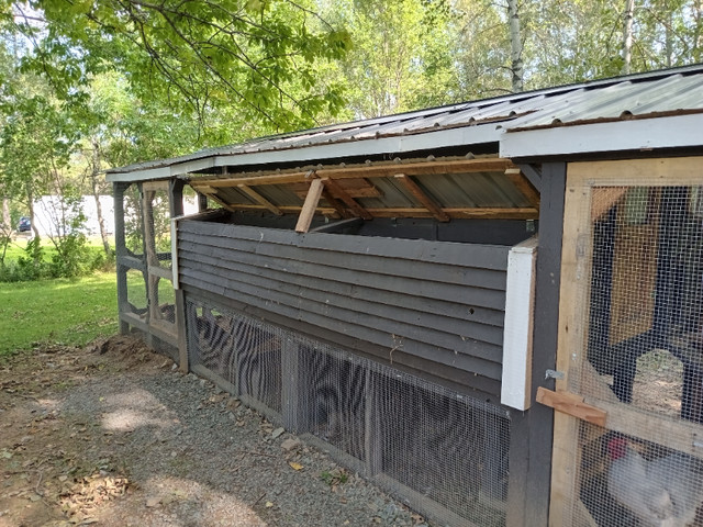 Chicken coop in Livestock in City of Halifax - Image 2