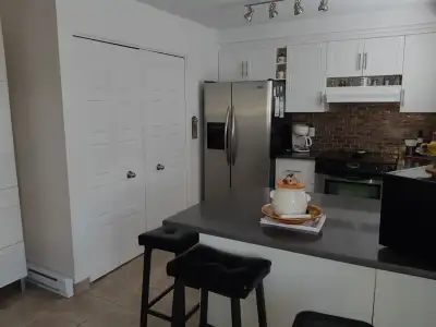 Laval-des-rapides/Pont-Viau: Grand 5 1/2 haut de duplex - AOUT