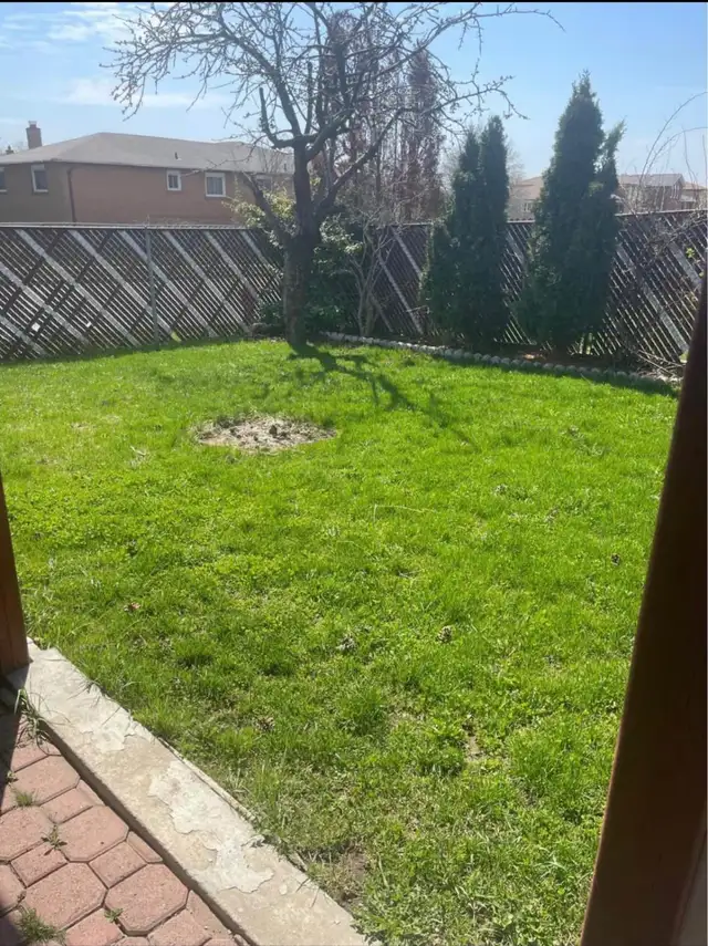 Walkout Basement for Rent in Long Term Rentals in Mississauga / Peel Region - Image 10
