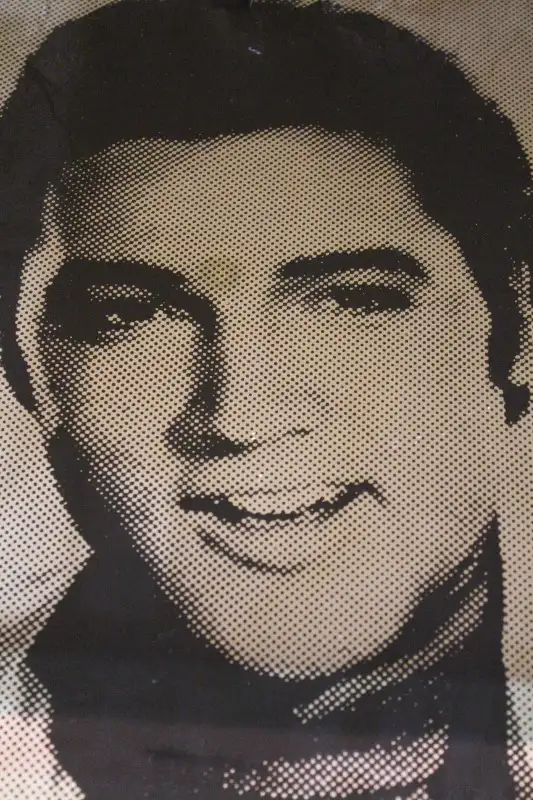 Vintage Elvis Presley Reverse Painted Mirror Wall Art in Arts & Collectibles in City of Toronto - Image 3