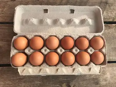 farm fresh eggs, View more
