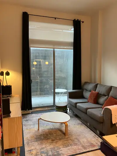 English at bottom. 1713 $ pour le 1er février. 500 $ rabais de plus. Cession de bail. Wi-Fi et élect...