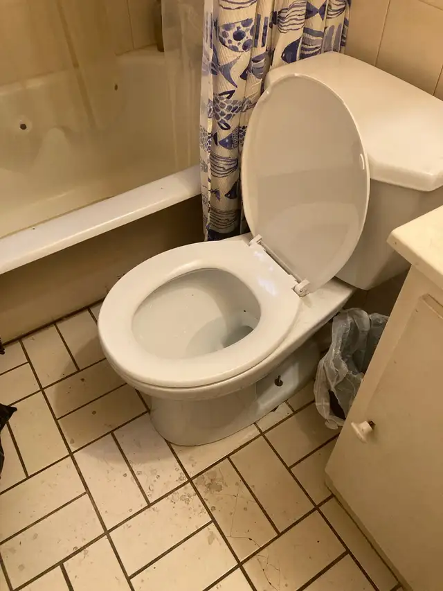 Cleaning Services65561335005697122