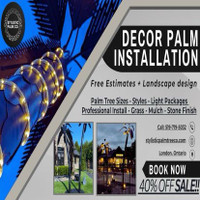 Modern Home Palm Trees Decoration