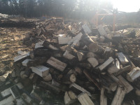 Next winters wood