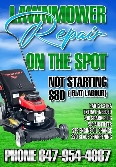 lawnmower re pair on the spot ( mobile )( house calls ), View more