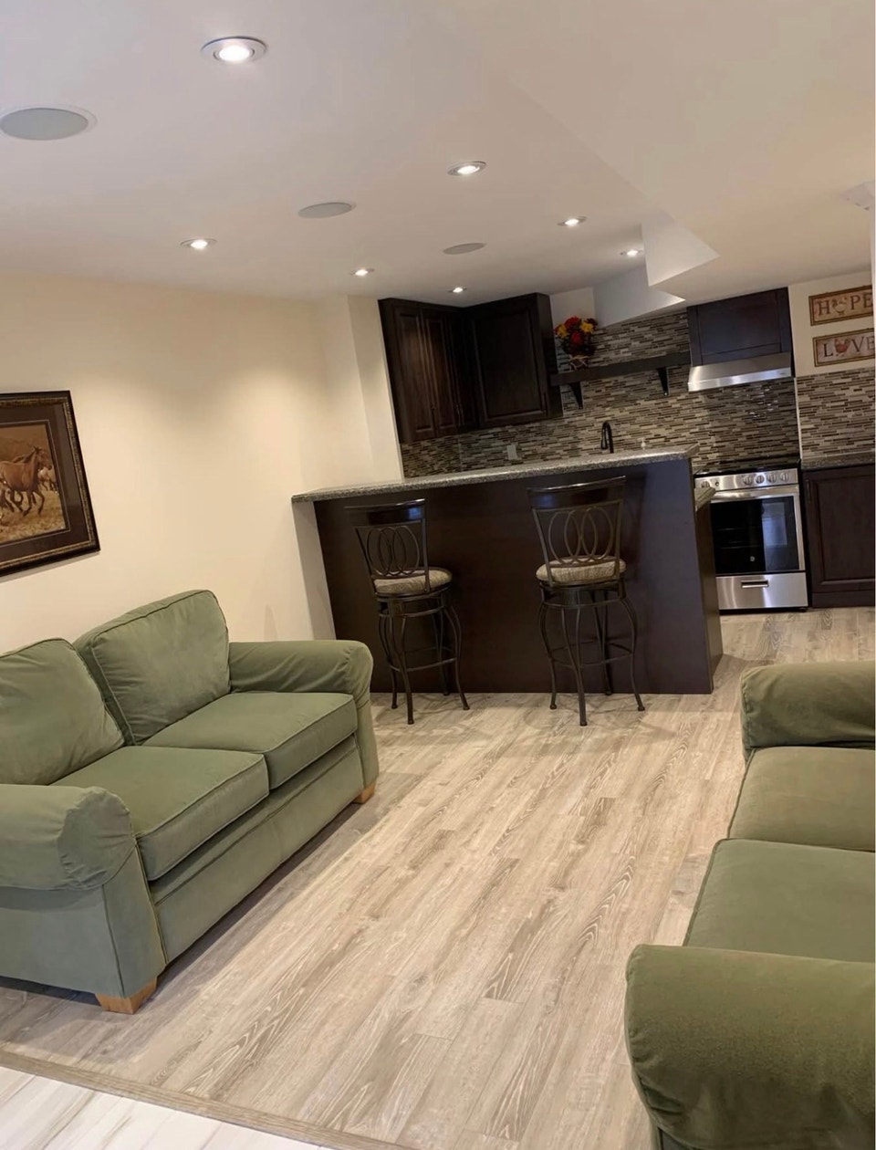 Legal Furnished walk-Out Basement for Rent in Richmond 2