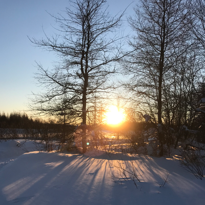 I offer French lessons for learners of any level. I have been teaching French both privately and in...