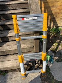 Extendable ladder