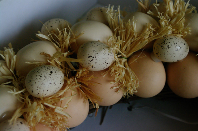 Natural 'Easter' Egg Wreath in Holiday, Event & Seasonal in Cornwall - Image 3