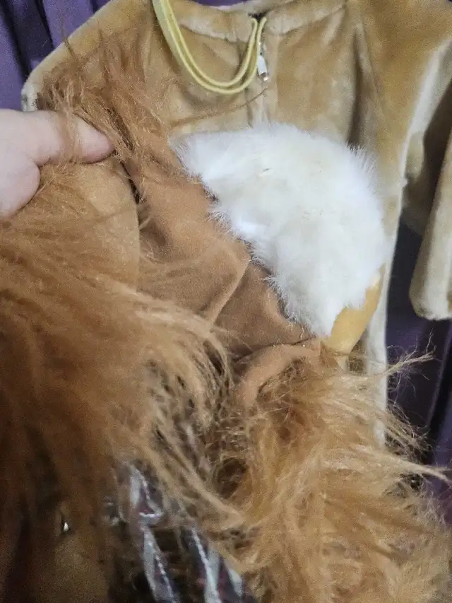 Costume Lion pour enfant 6-7 ans in Costumes in Sherbrooke - Image 7