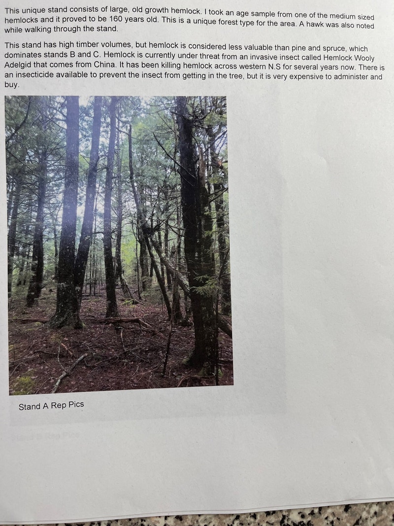 Woodlot for sale Land for Sale Bridgewater Kijiji