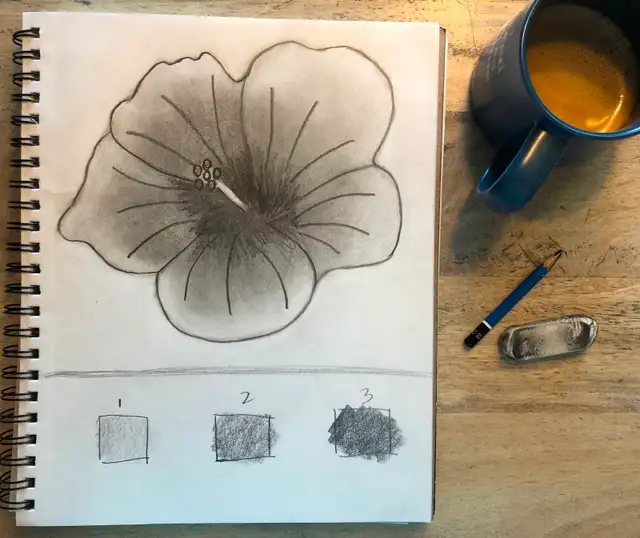 Realistic Drawing Course - 16 pre-recorded lessons!469135067480084482
