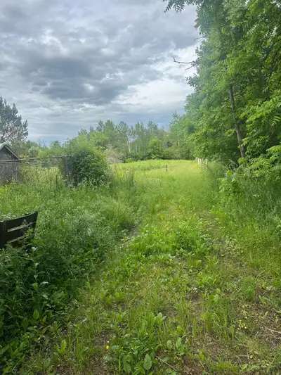Bungalow for rent on 5+ acres of land with 2 barns