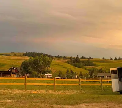Iso room to rent in Yorkton or toward wroxton, coming from BC to do a course. Nice female clean and...