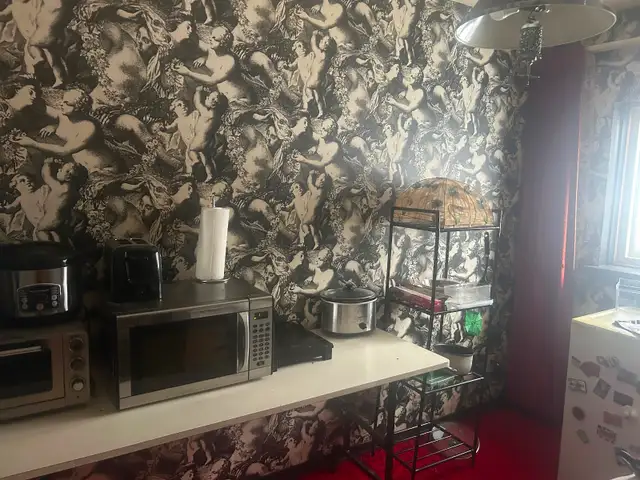 Room for rent $900 in Room Rentals & Roommates in Owen Sound - Image 5