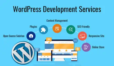 Web Designing & Development, SEO and Computer Accessories, View more