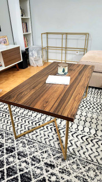 Modern Coffee Center Table *new