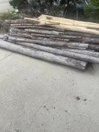  Pine firewood