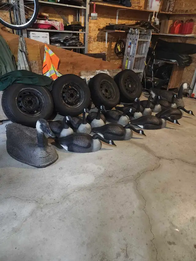 Canadian goose decoys in Fishing, Camping & Outdoors in Winnipeg - Image 3