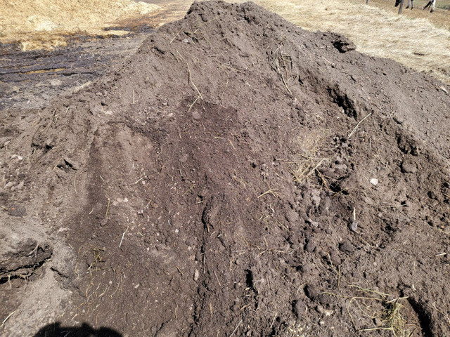 Organic Compost in Plants, Fertilizer & Soil in Strathcona County - Image 2