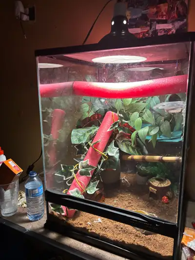 reptile enclosure , View more