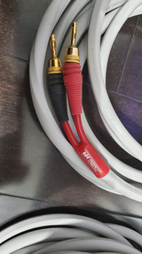 Monster Cable MCX-1S Speaker Cables (20ft)