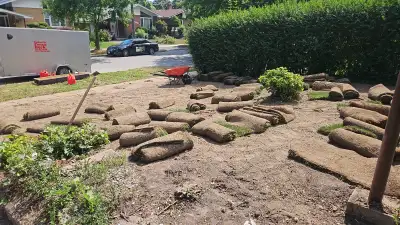 New Sod /, View more