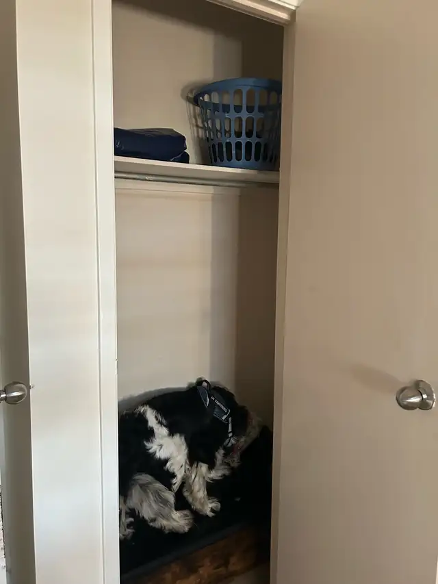 room for rent 532565737289830406