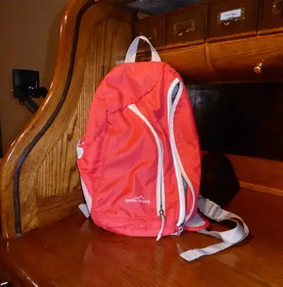 Eddie Bauer Cross Body Bag Orange with grey interior Inside pockets and mesh pocket on the side and...