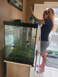 Aquarium cleaning services