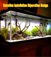 Spécialiste en Aquariophilie Aide AQUARIUM 