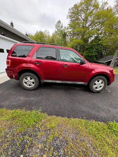 2009 Ford Escape 4x4 XLT. This one belonged to an older couple and was purchased from an estate sale...