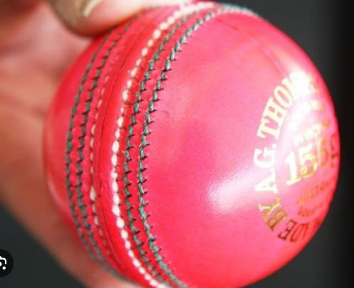 Cricket Ball in Sports Teams in City of Toronto