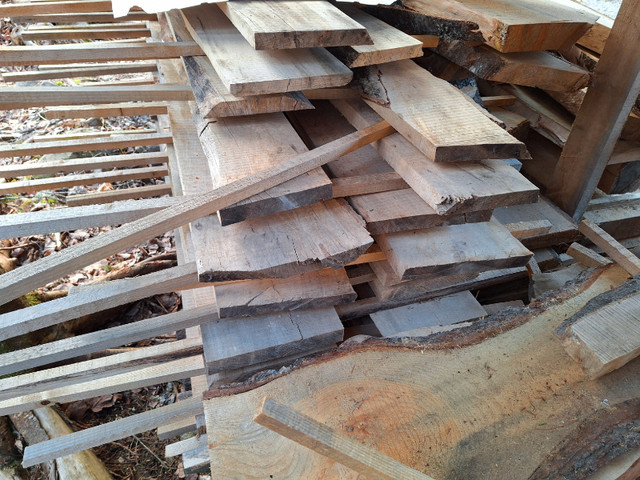 Live Edge Slabs - HALF PRICE in Other in Fredericton - Image 4