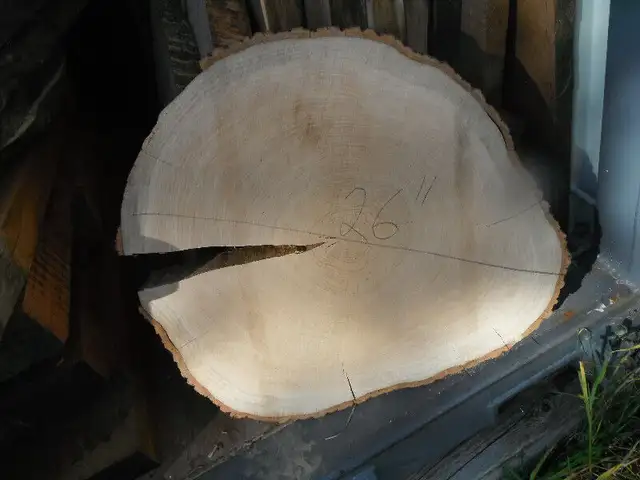 Live edge cookies in Hobbies & Crafts in Ottawa - Image 8