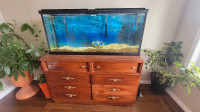 55 gallon tank with all accessories and table