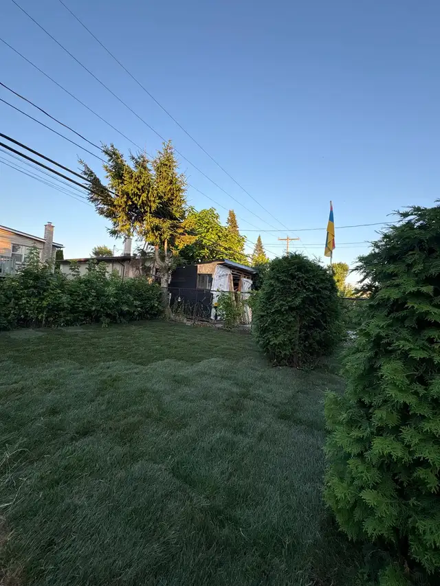 Lawn installation63005664734211128