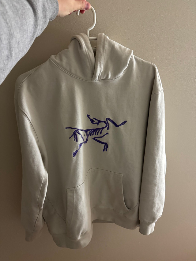 Palace x Arc’teryx OG big logo supreme balenciaga hoodie in Men's in Mississauga / Peel Region