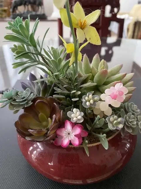 Beautiful Artificial Flowering  Cactus Plants in Ceramic Pot63234702853891123