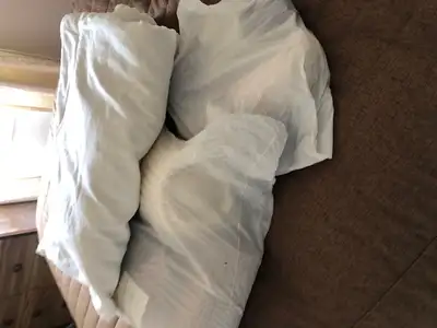 Duvets / sets - pillows - $ 50 , $ 100 and $ 150 each - all new., View more