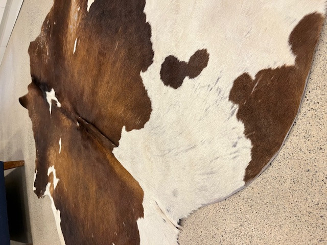 Authentic REAL Cow Hide Rug in Rugs, Carpets & Runners in City of Toronto - Image 3