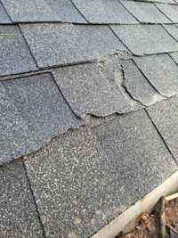 Budget Friendly Roof Services 