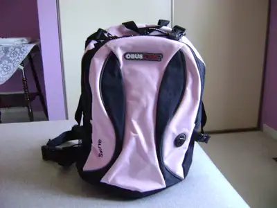 Size is 18 X 10 X 6 inches. Suitable for children or smaller loads or for use as a day pack. Swerve...
