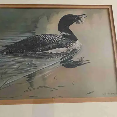A wonderful widely recognized coloured print of a Loon with a fish in his mouth. Very collectible pr...