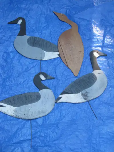3 CANADIAN GOOSE DECOYS + 1 UNPAINTED, View more